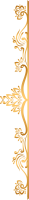 Layer 13